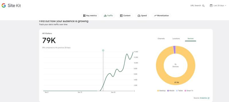 Website traffic growth chart, 79K visitors over 28 days